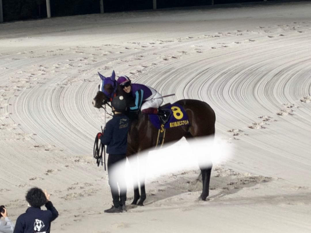 園田競馬 イグナイター 引退式 200枚限定配布 ステッカー
