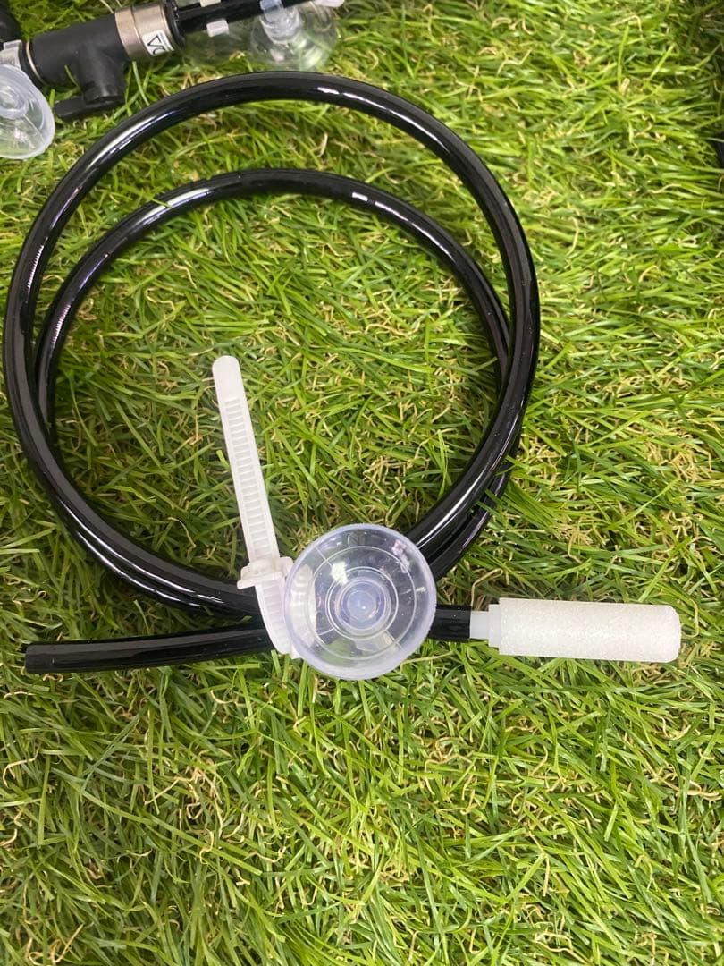 ミスティングシステム フォレスタ