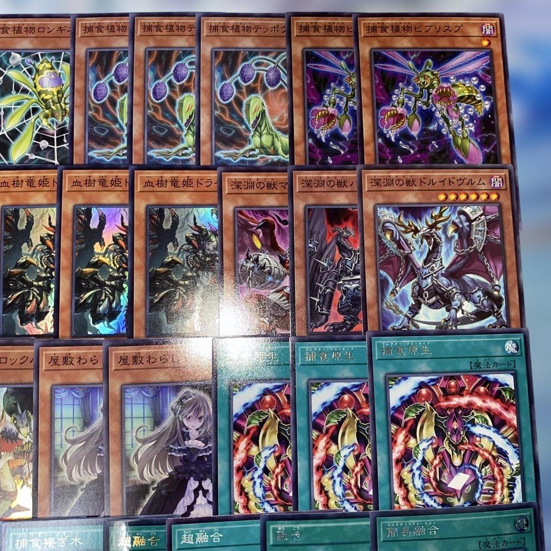 【2161】遊戯王　捕食植物デッキ　プレデタープランツcs優勝構築超逸融合　大会