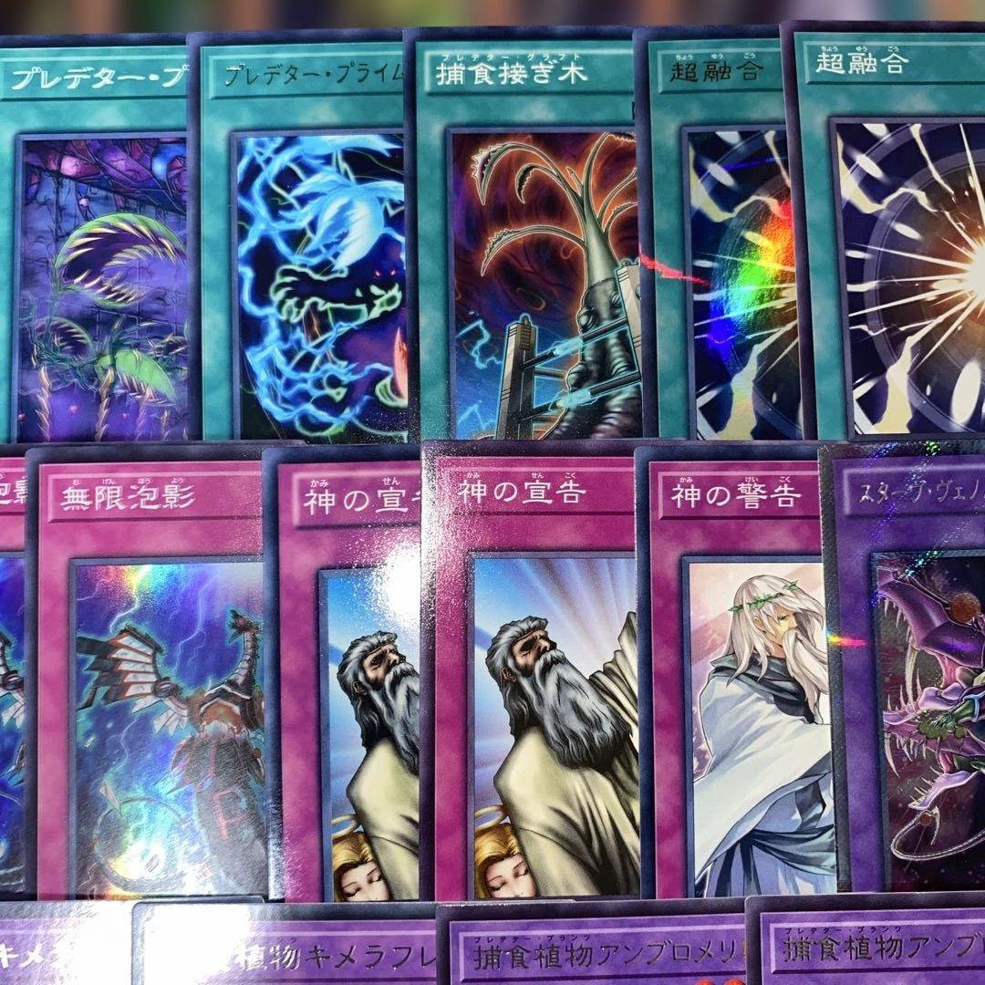 【2161】遊戯王　捕食植物デッキ　プレデタープランツcs優勝構築超逸融合　大会