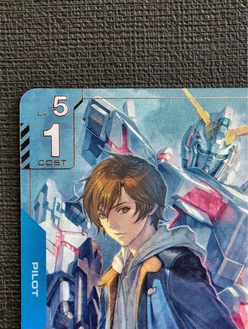 バナージ・リンクス パイロットカード