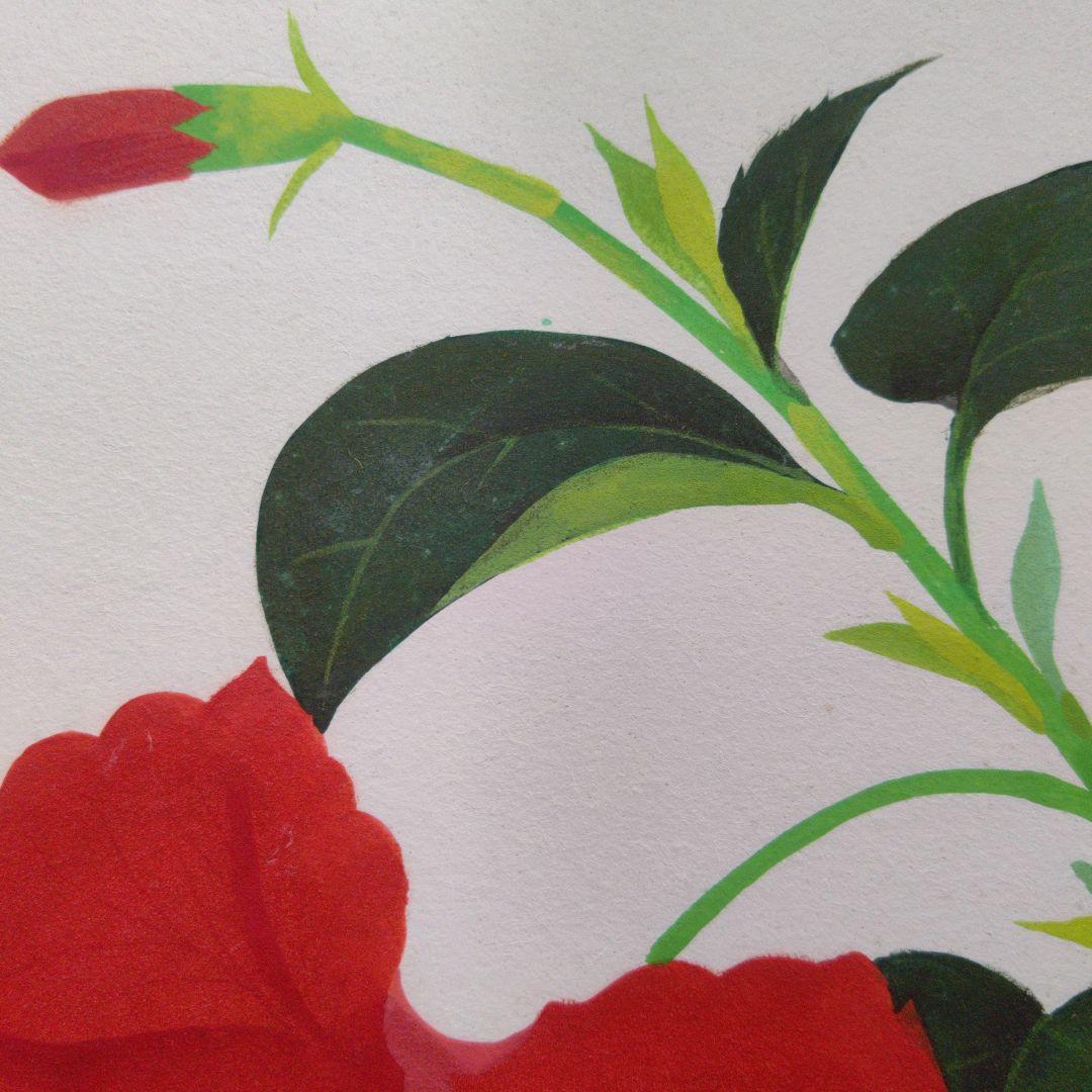 ハイビスカス  院展 清水達三先生  真作です  日本画