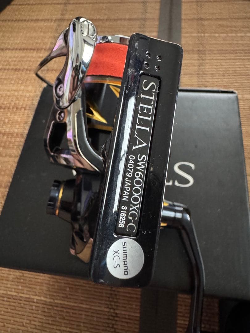 20ステラ SW 6000XG