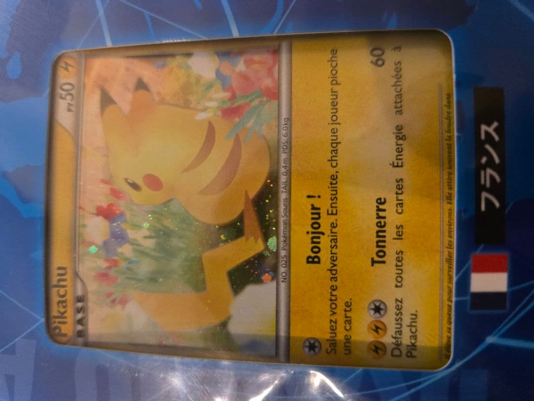 ポケモンカード【ピカチュウワールドコレクション2010】未開封