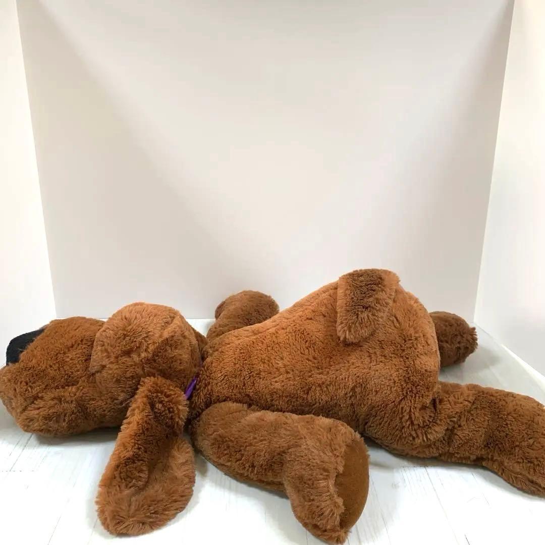 V☆ 子犬のルーク　大きいサイズ　55センチ