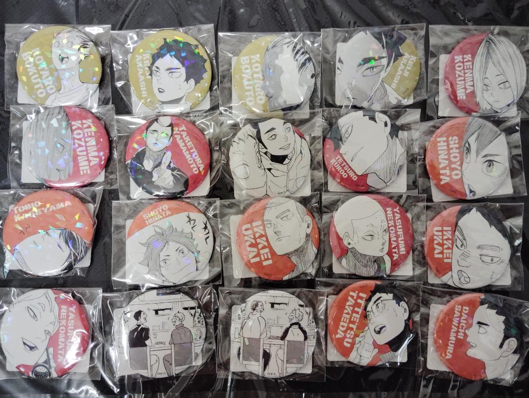 ハイキュー　缶バッジ　オールスター　コンプ　all star haikyu