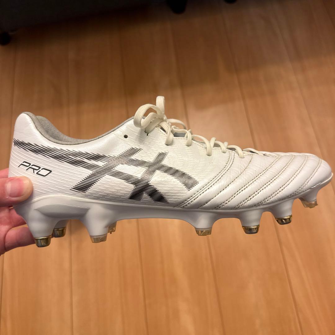 取替式DS LIGHT X-FLY