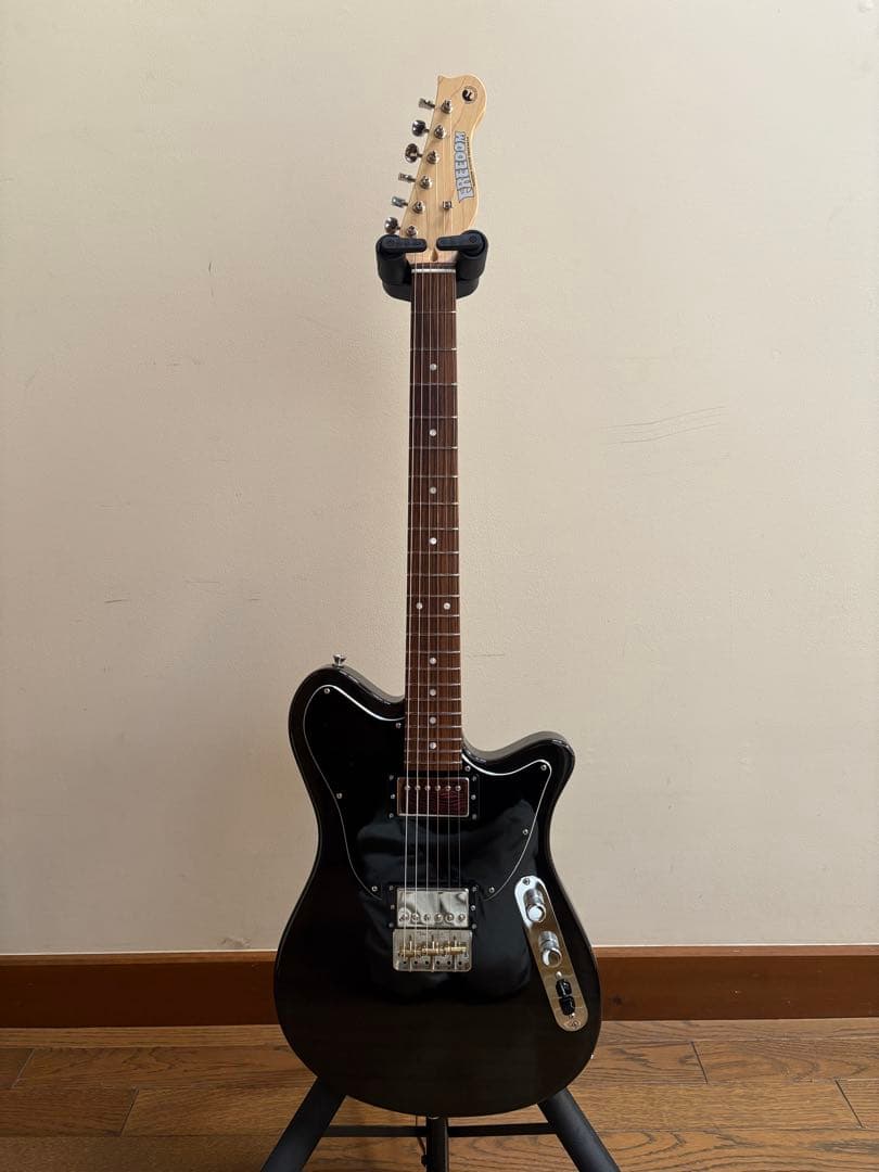 ギター FREEDOM Custom Guitar Research SHAKER