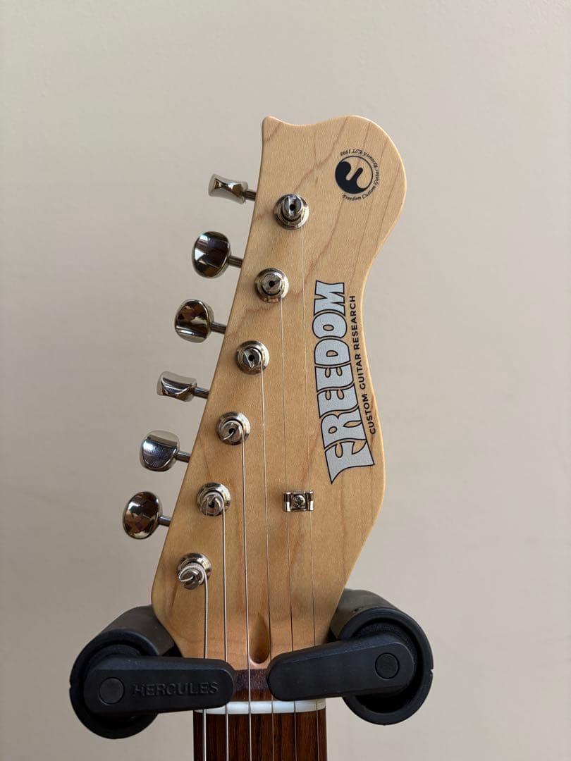 ギター FREEDOM Custom Guitar Research SHAKER