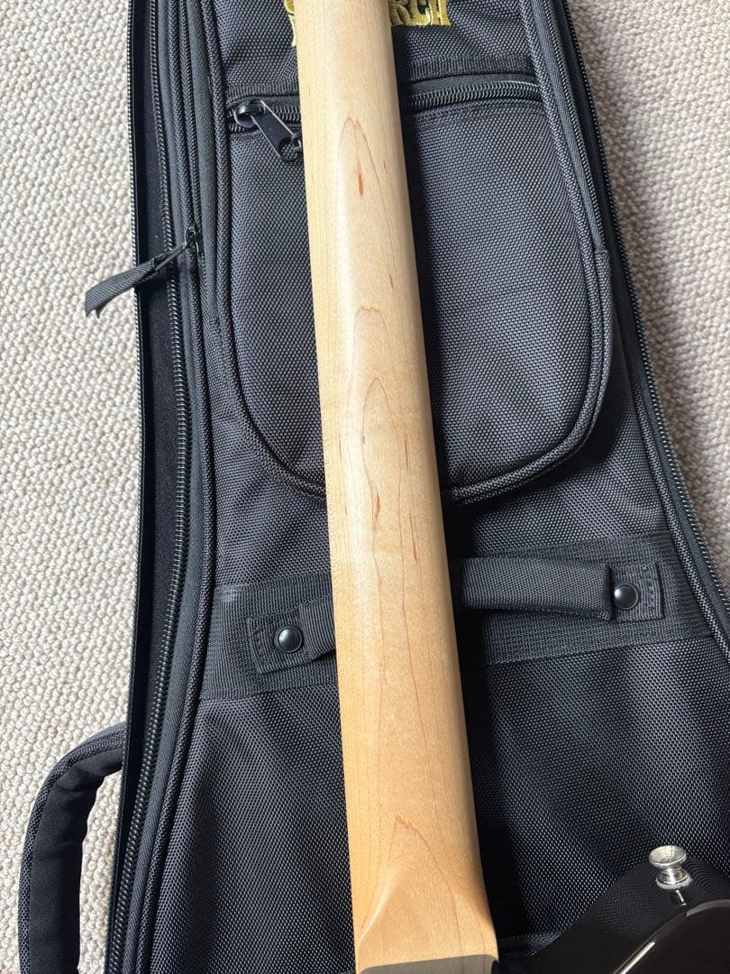 ギター FREEDOM Custom Guitar Research SHAKER