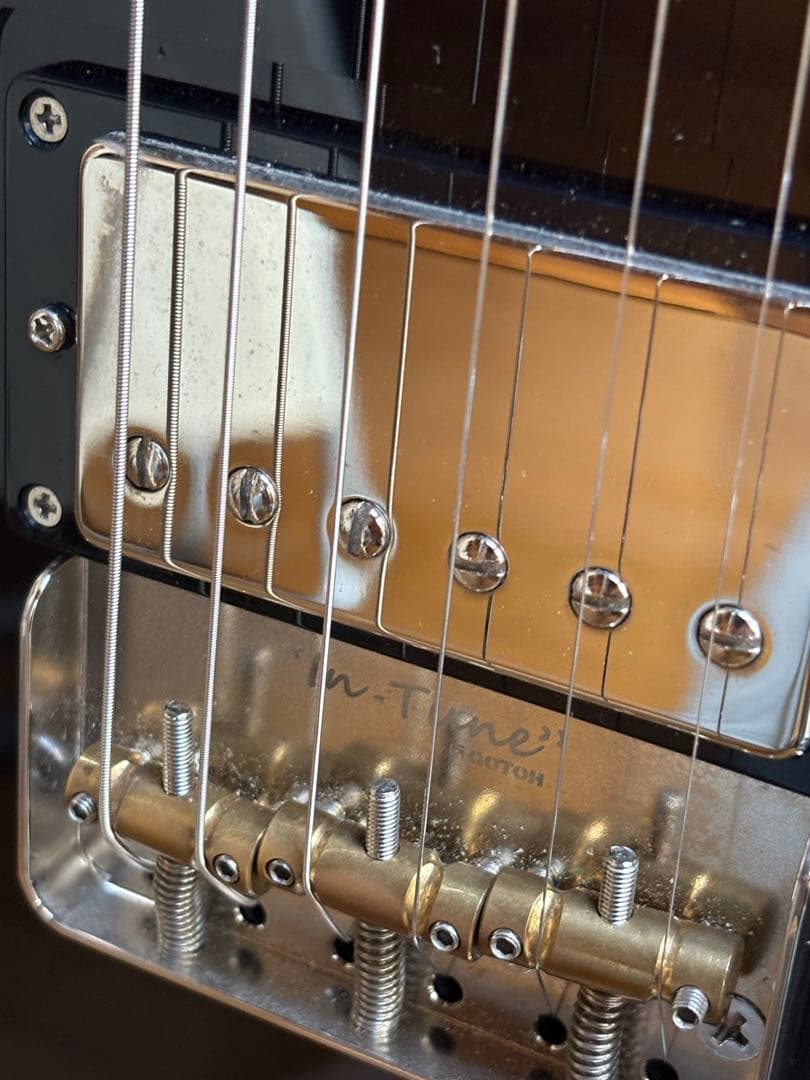 ギター FREEDOM Custom Guitar Research SHAKER