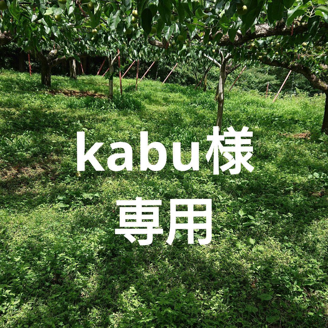 kabu【プロフ一読お願い致します】となります。