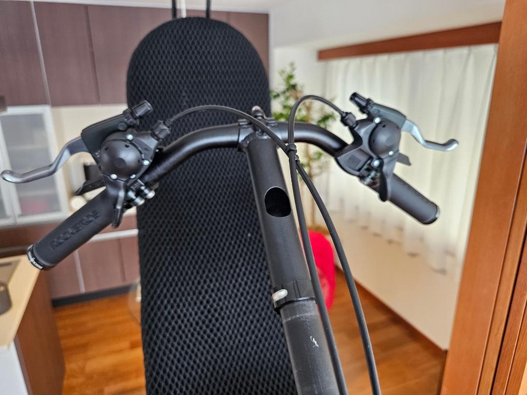 Performer Unicorn リカンベントバイク フレームセット