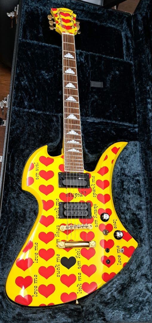 pinkspider　フェルナンデス MG-145S ハードケース