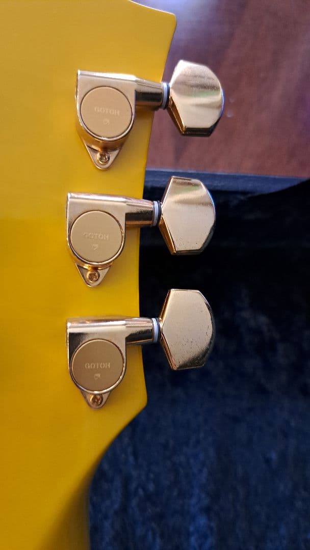 pinkspider　フェルナンデス MG-145S ハードケース