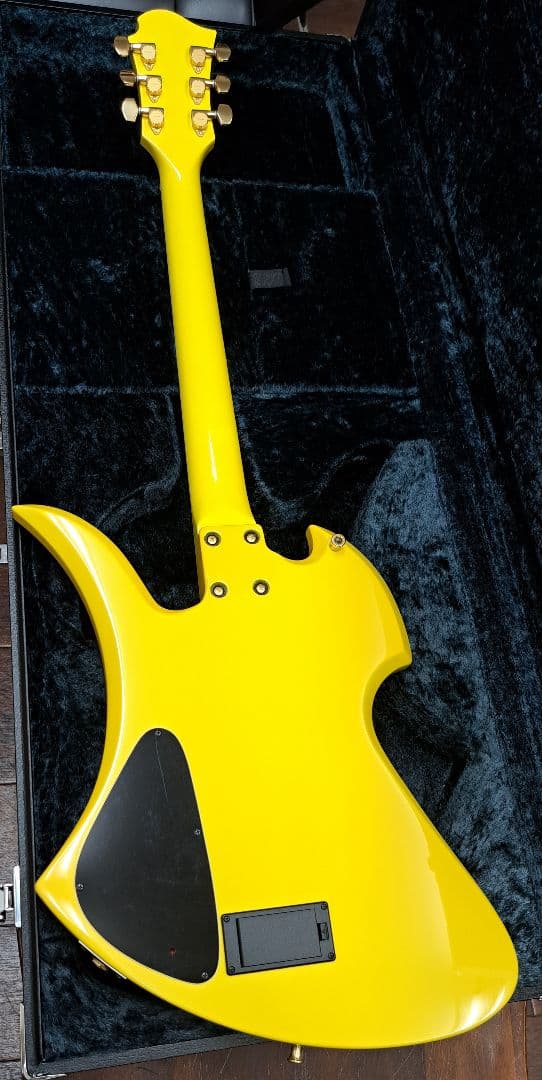 pinkspider　フェルナンデス MG-145S ハードケース