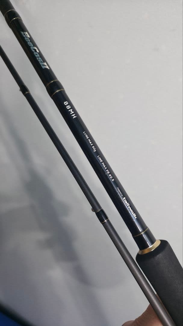 tailwalk BEECASⅡ ショアジギングロッド