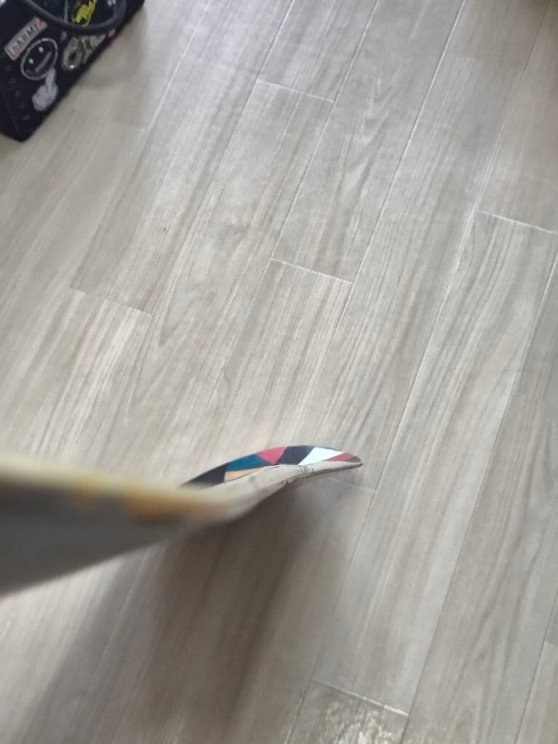 Salomon スノーボード グラフィックデザイン