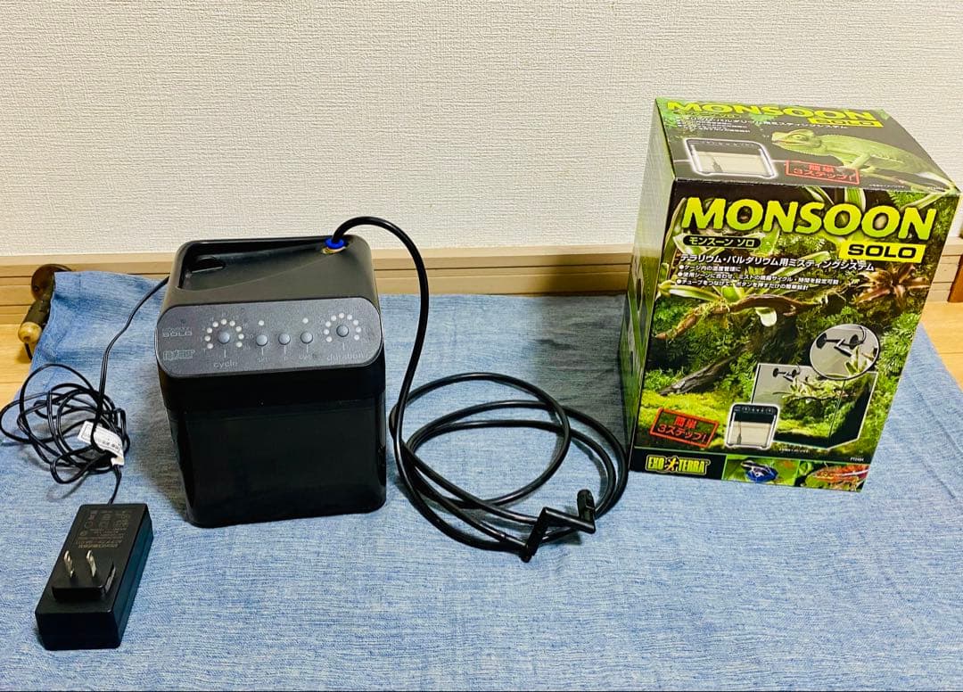 dax【美品】モンスーンソロ