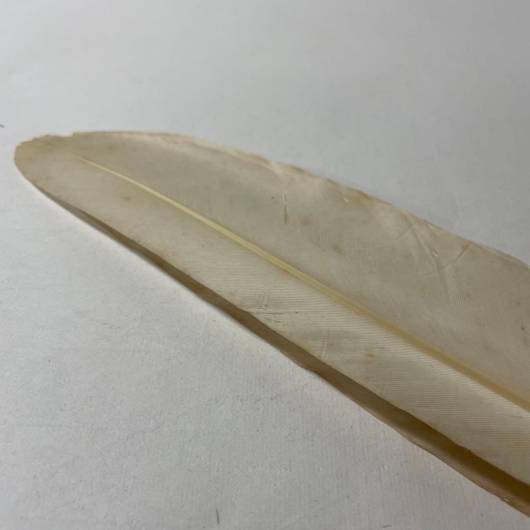 FC30 箒博　白鳥御羽掃