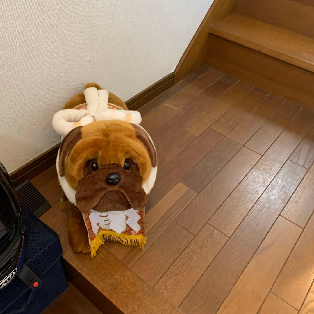 土佐犬ぬいぐるみ【闘犬】