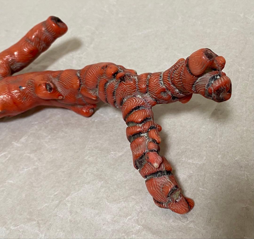 赤珊瑚　原木　天然　約410g