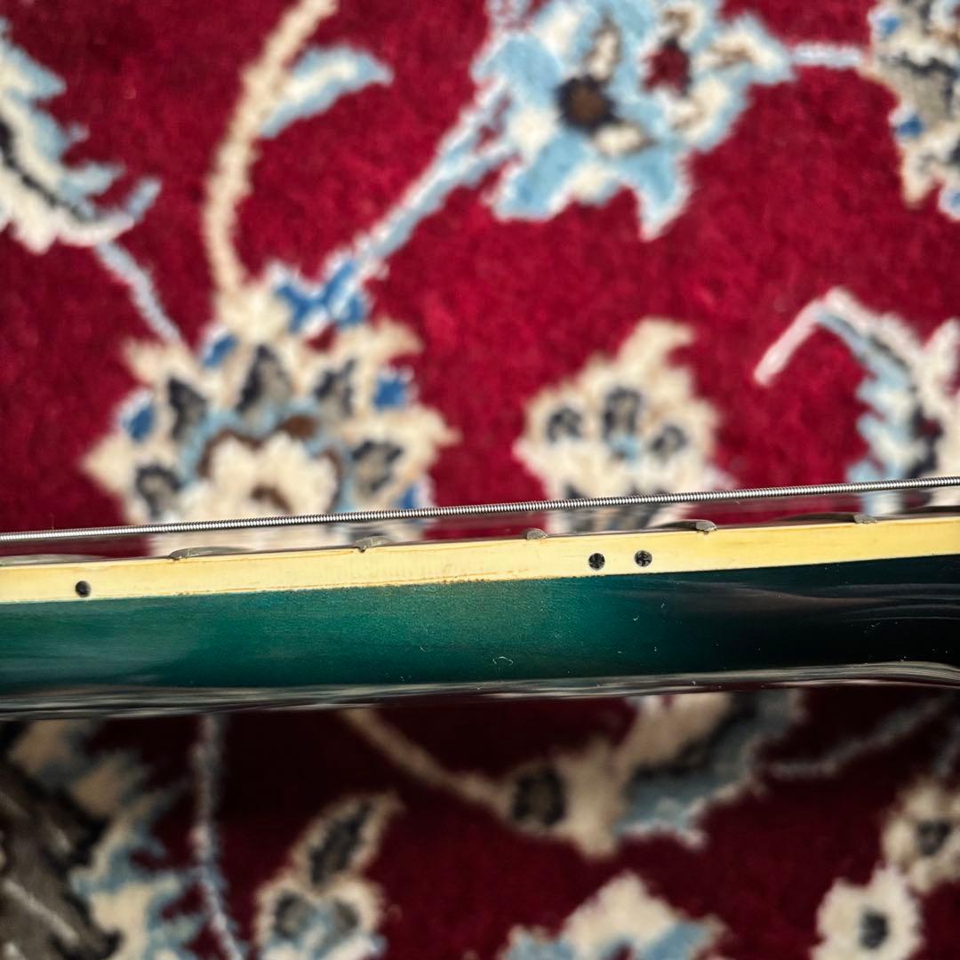 激レア　Strainer JS Series グリーン　ソリッドエレアコ