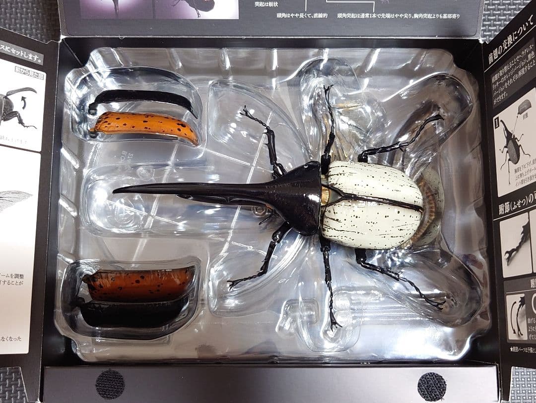 いきもの大図鑑プレミアム ヘラクレスオオカブト　（ヘラクレス・リッキー）