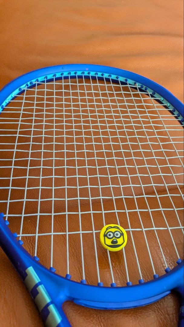 ラケット(硬式用) wilson ultra 100 v5