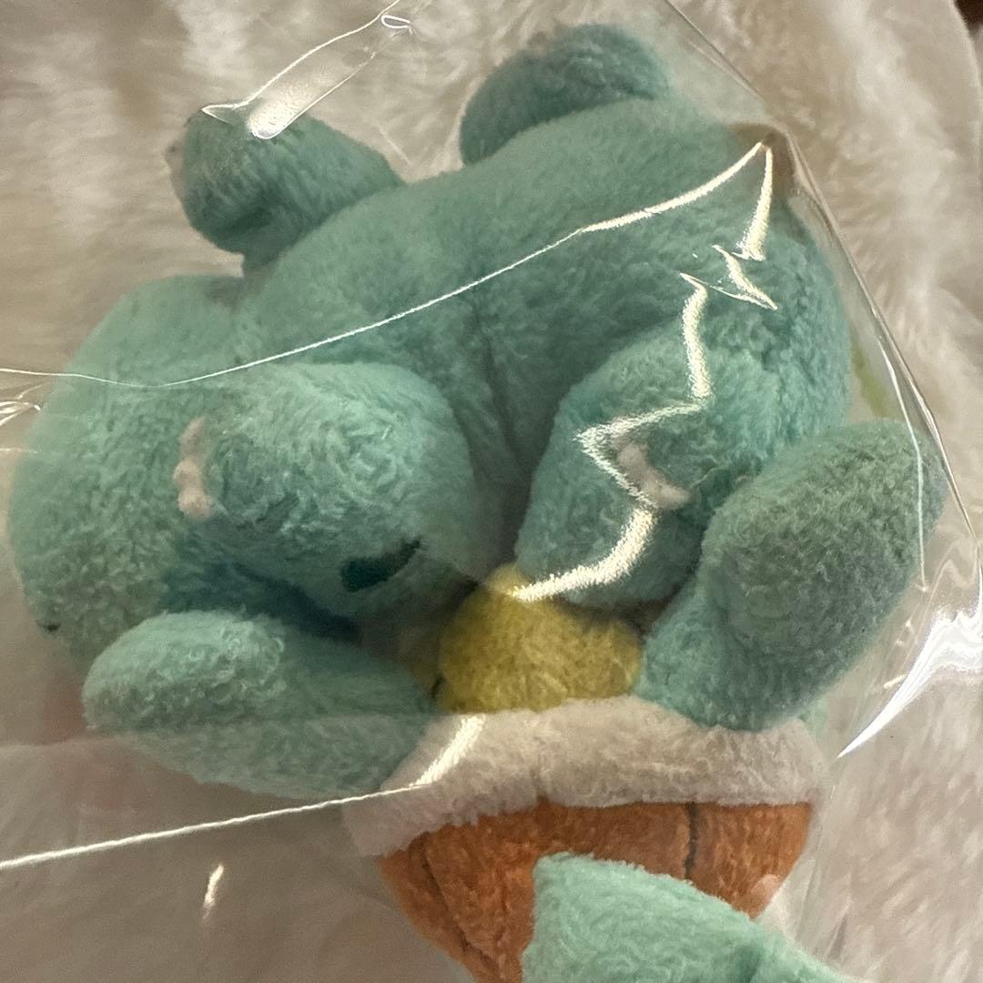 ポケモン　ポケペアぬいぐるみ　ゼニガメ&フシギダネ レトロ レア 絶版