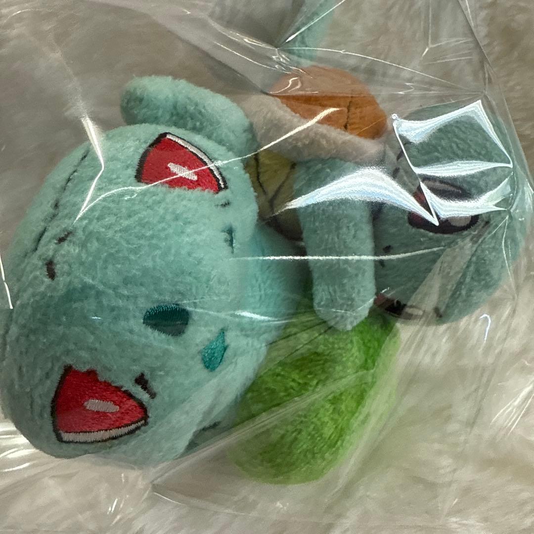 ポケモン　ポケペアぬいぐるみ　ゼニガメ&フシギダネ レトロ レア 絶版