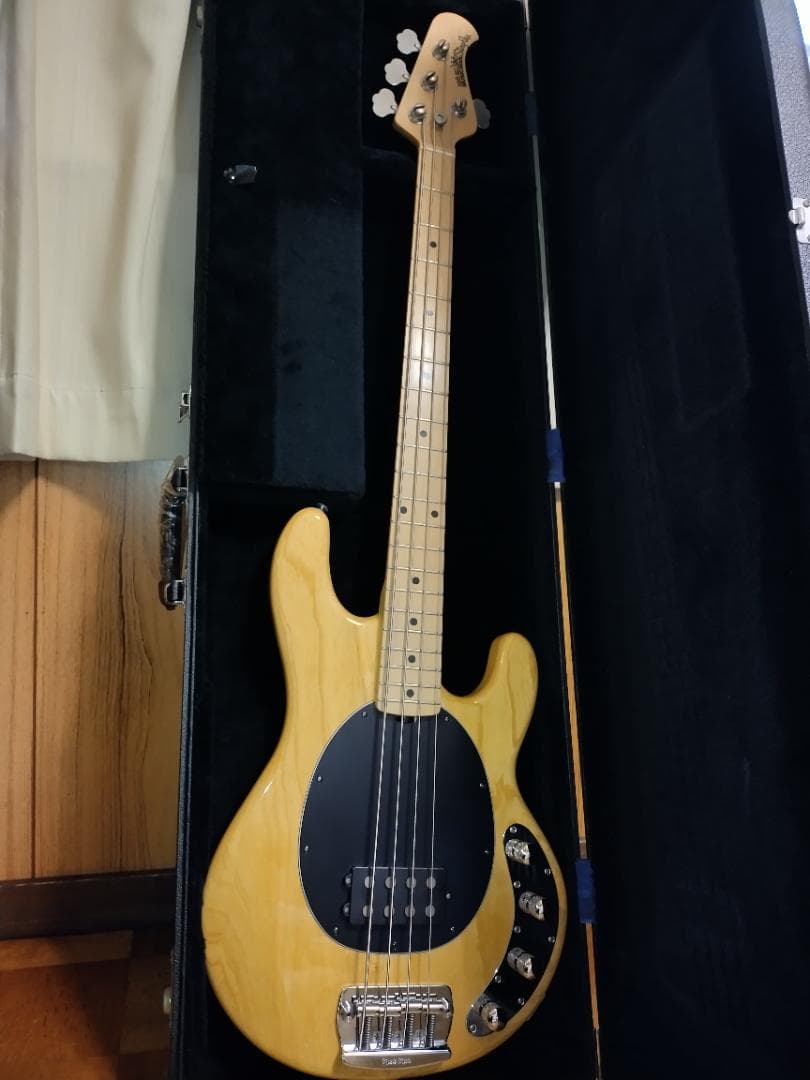 ☆Music Man / StingRay EX☆