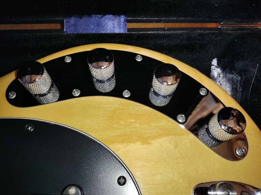 ☆Music Man / StingRay EX☆