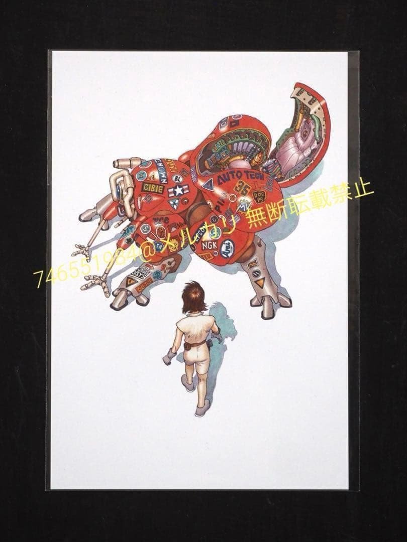 未使用　大友克洋　関連　まとめ売り　GENGA展　士郎正宗の世界展　セル画展など