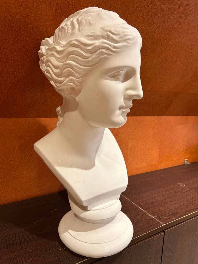 ミロのヴィーナス　石膏像　デッサン　アート　芸術　美術