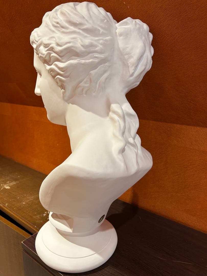 ミロのヴィーナス　石膏像　デッサン　アート　芸術　美術