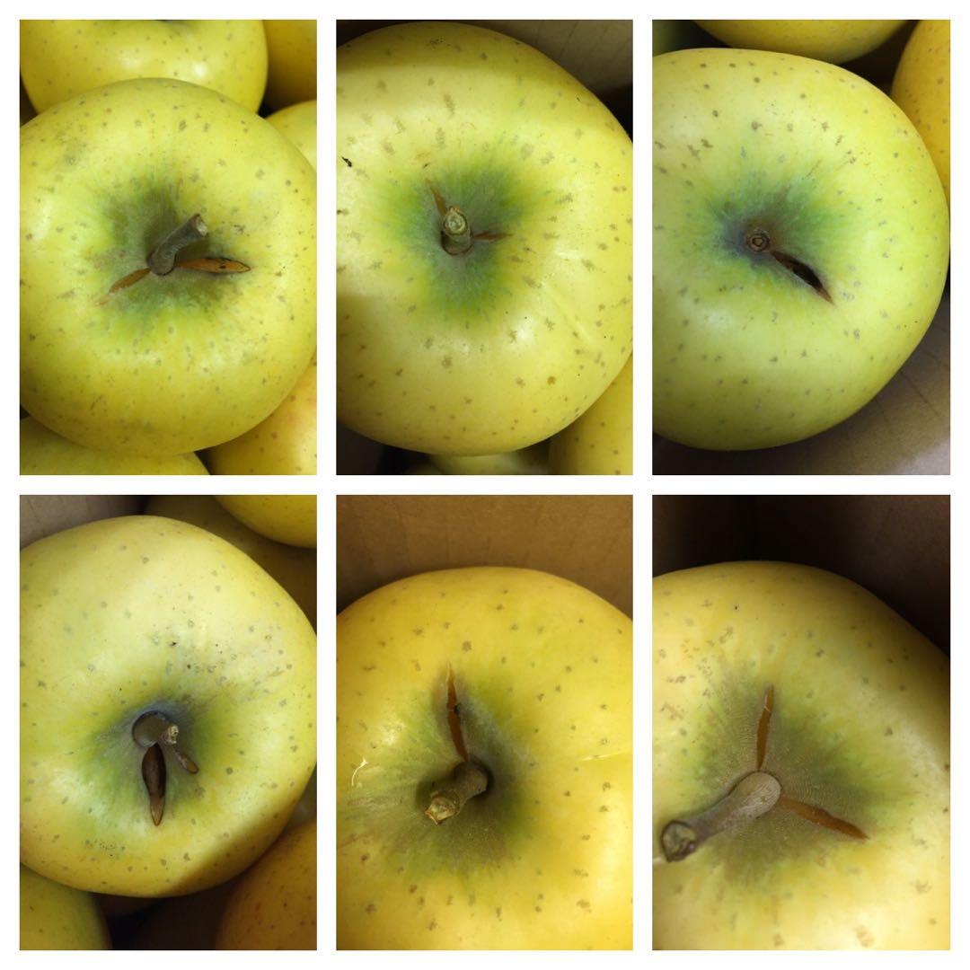 【訳あり】葉とらずりんご シナノゴールド20kg