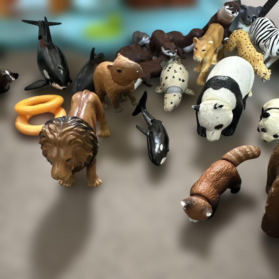 アニア　アニマルアドベンチャー　フィギュア