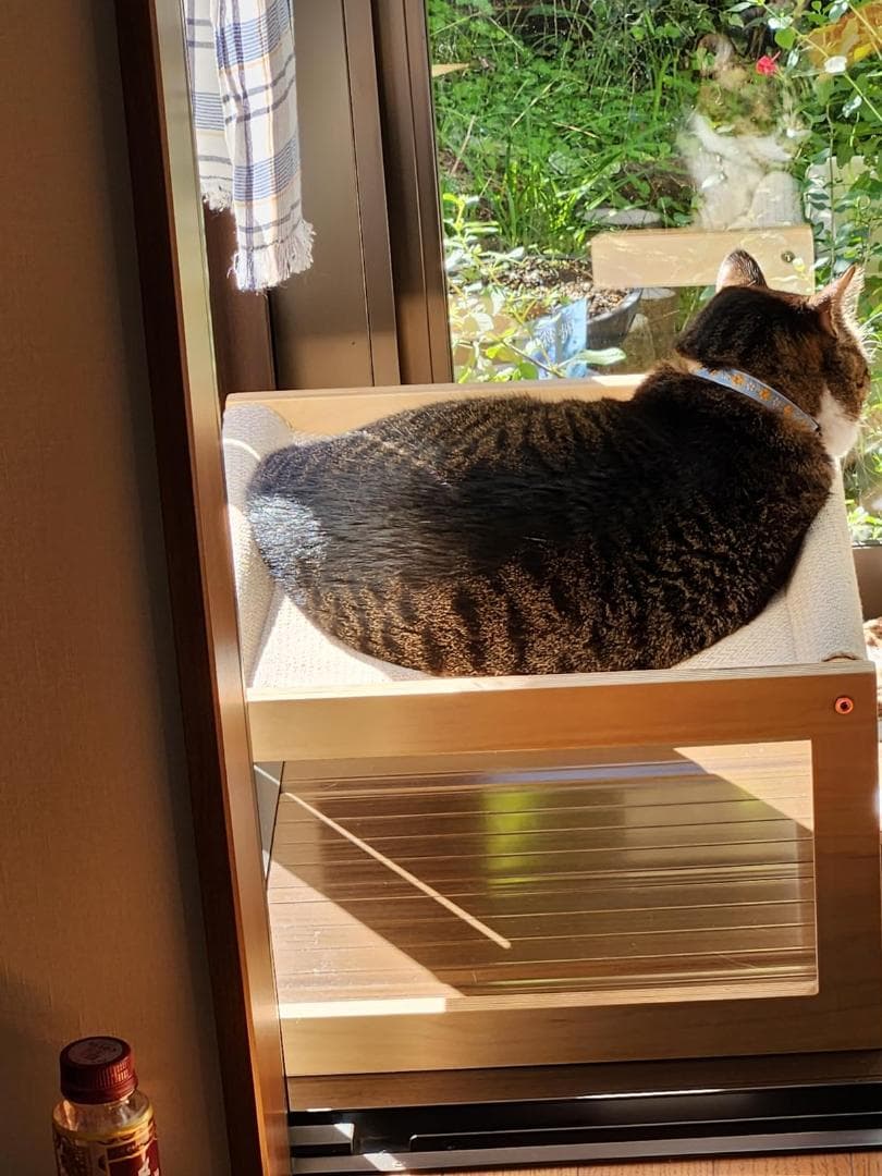 高品質なデザイン　ペット　ハンモック　快適　猫