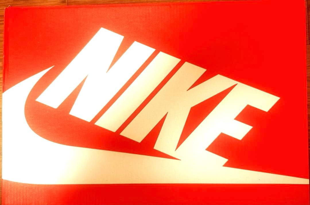 Nike Dunk Low FZ4618-001 28.5 新品　未使用品