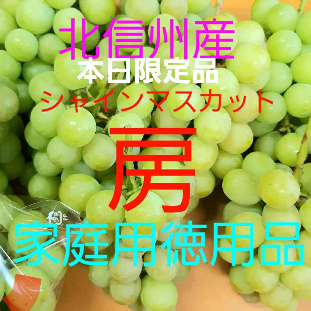 本日限定シャインマスカット家庭用訳有り特売る品