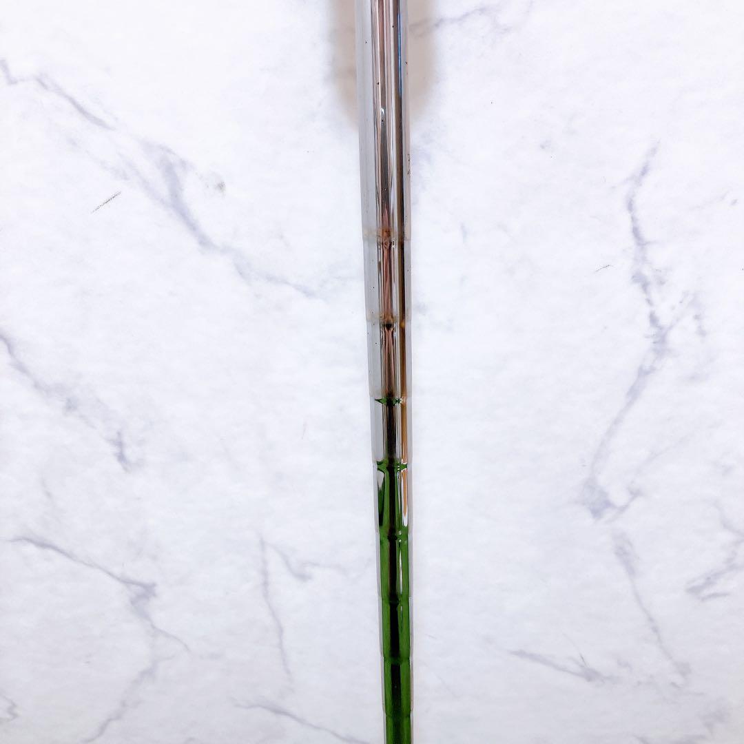 ナイキ　ゴルフクラブ　パター　EVER CLEAR ヘッドカバーあり　右利き