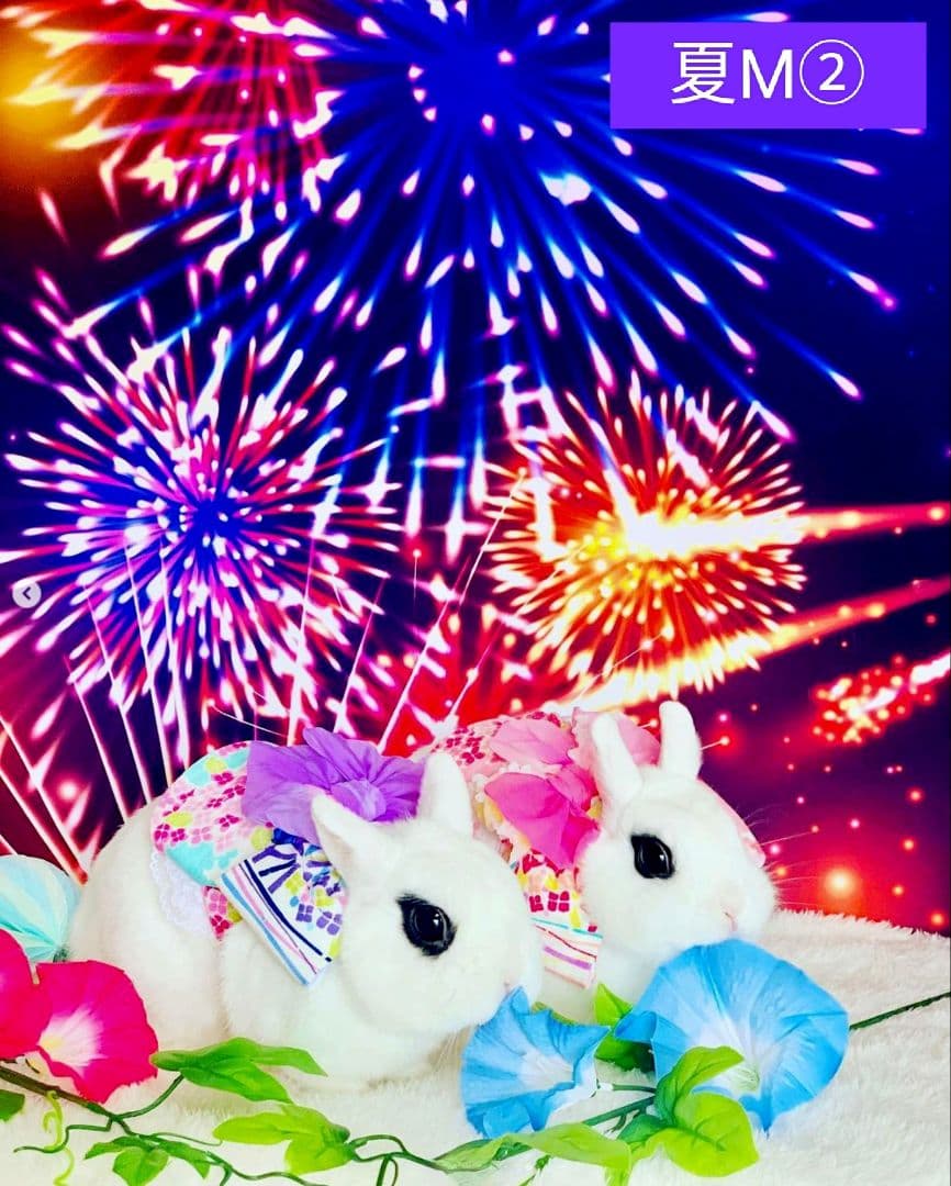 背景布夏BA②　キッズ、ペット、7,8月撮影用フォトブース　サーフィン　ピンク