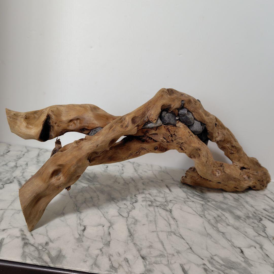 アク抜き済み流木【858】セール