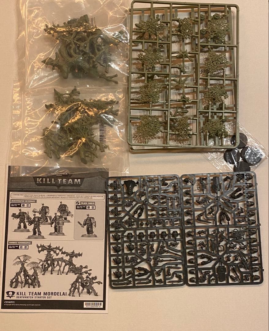 り*ん様 ウォーハンマー　Warhammer Kill Team Mordela