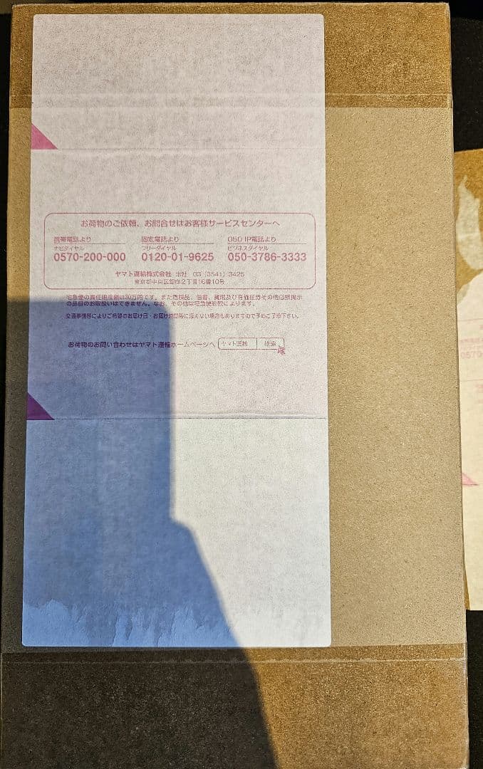 デジヴァイス 25th COLOR EVOLUTION 太一・ヤマトDXセット