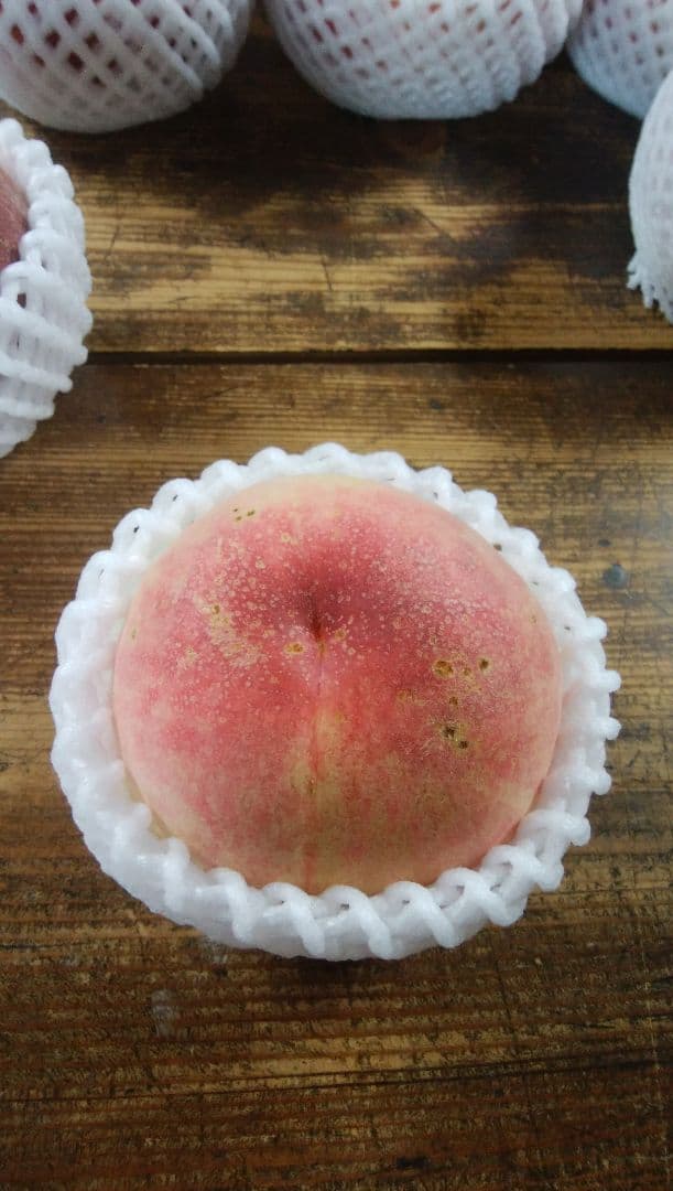 yorozuさん専用　特大　桃　さくら白桃　わけあり　10kg