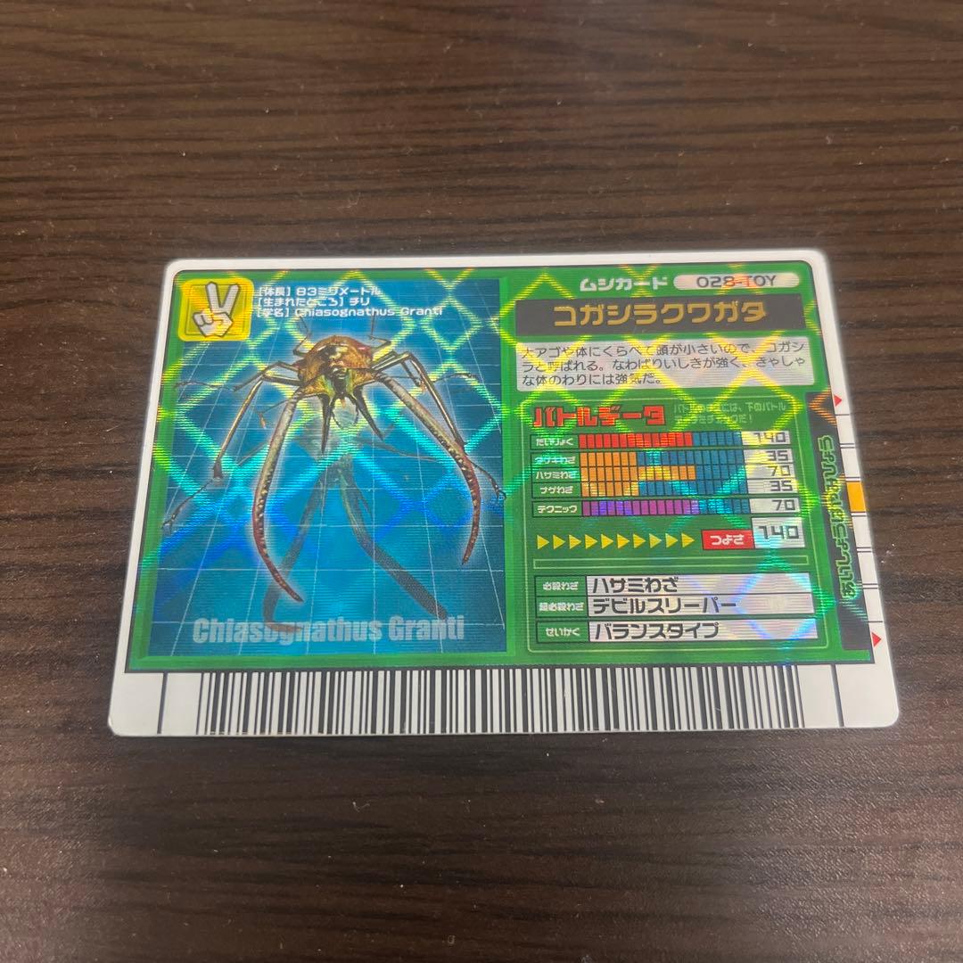 甲虫王者ムシキング　コガシラクワガタ