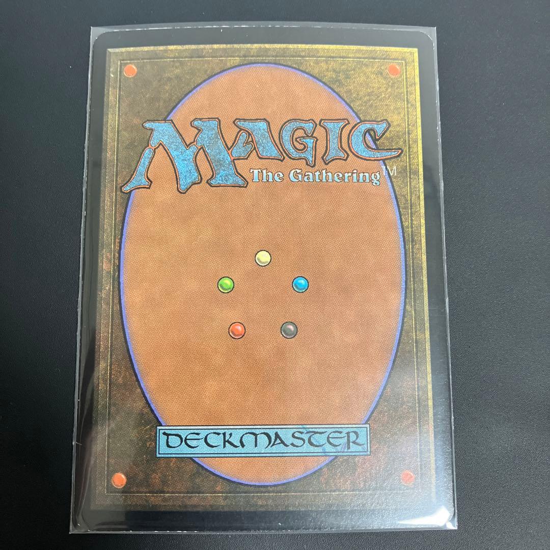 【Foil】島/ (USG版)[エラーカード] アリーナ　usg-p