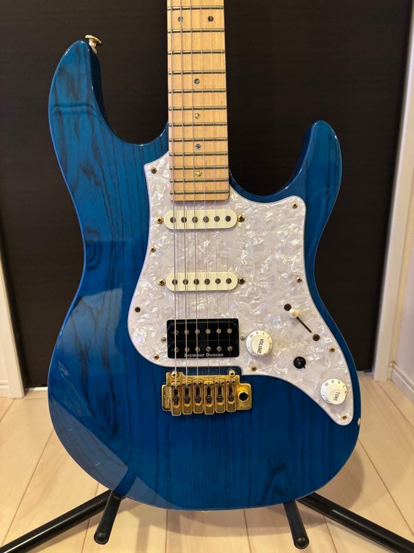 ギター Fujigen EXPERT OS